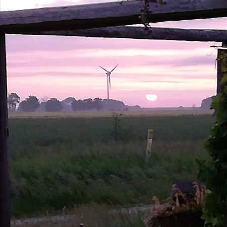 Landhaus Loewenzahn Dornum Exteriér fotografie