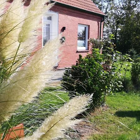 Landhaus Loewenzahn Dornum Exteriér fotografie